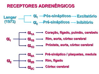 RECEPTORES ADRENÉRGICOS  1A  1  1B  1D Coração, fígado, pulmão, cerebelo Rim, aorta, córtex cerebral Próstata, aorta, córtex cerebral Langer (1973)  1  2 Pós-sinápticos Excitatório Pré-sinápticos Inibitório  2A  2  2B  2C Pré-sináptico / plaquetas, medula Rim, fígado Córtex cerebral 