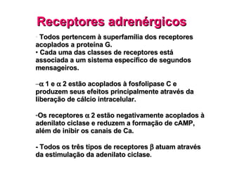Receptores adrenérgicos Todos pertencem à superfamília dos receptores acoplados a proteína G. Cada uma das classes de receptores está associada a um sistema específico de segundos mensageiros.     1 e    2 estão acoplados à fosfolipase C e produzem seus efeitos principalmente através da liberação de cálcio intracelular. Os receptores    2 estão negativamente acoplados à adenilato ciclase e reduzem a formação de cAMP, além de inibir os canais de Ca. - Todos os três tipos de receptores    atuam através da estimulação da adenilato ciclase . 