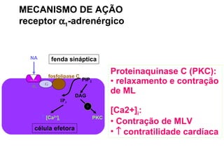 MECANISMO DE AÇÃO receptor   1 -adrenérgico Proteinaquinase C (PKC): relaxamento e contração de ML [Ca2+] i : Contração de MLV    contratilidade cardíaca PKC  1 PIP 2 DAG IP 3 G célula efetora fosfolipase C    [Ca 2+ ] i NA fenda sináptica + 