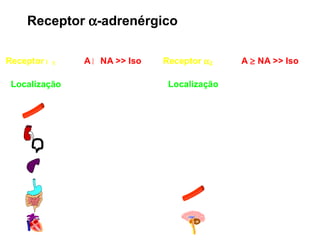 Receptor   -adrenérgico 