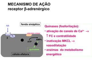 MECANISMO DE AÇÃO receptor   -adrenérgico Quinases (fosforilação): ativação de canais de Ca 2+         FC e contratilidade inativação MKCL     vasodilatação enzimas  do metabolismo energético   quinases  G s adenilato ciclase NA célula efetora fenda sináptica ATP    AMPc + + 
