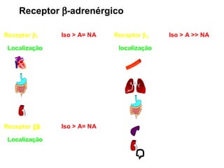 Receptor   -adrenérgico 