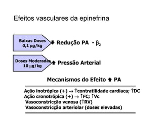 Efeitos vasculares da epinefrina Baixas Doses 0,1   g/kg    Redução PA  -   2 Doses Moderadas 10   g/kg    Pressão Arterial Ação inotrópica (+)      contratilidade cardíaca;   DC Ação cronotrópica (+)      FC;   Vc Vasoconstricção venosa (  RV) Vasoconstricção arteriolar (doses elevadas) Mecanismos do Efeito    PA 