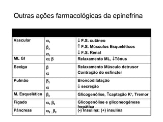 Outras ações farmacológicas da epinefrina Glicogenólise e gliconeogênese hepática  1 ;  2 Fígado Glicogenólise,   captação K + , Tremor  2 M. Esquelético (-) Insulina; (+) insulina  2 ; ;  2 Pâncreas Broncodilatação    secreção  2  Pulmão Relaxamento Músculo detrusor Contração do esfíncter   Bexiga Relaxamento ML,   Tônus  ;   ML GI    F.S. cutâneo    F.S. Músculos Esqueléticos    F.S. Renal  1  2  1 Vascular Efeitos Receptor Tecidos 