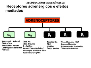 Receptores adrenérgicos e efeitos mediados ADRENOCEPTORES  1  2  1  2 Vasoconstr.  Arterial   RVP -   PA Vasoconstr. Venosa Contração de esfincter Midríase Taquicardia  DC Lipólise  secr. Renina Vasodilatação - RVP Broncodilatação Relaxamento M. uterina  liberação Insulina  Lib. NE  Lib. Insulina (-) lipólise Agreg. Plaquetária (  2A ) Contração artérias e veias Vasodilatação (NO)  3 BLOQUEADORES ADRENÉRGICOS 