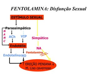N A N C FENTOLAMINA: Disfunção Sexual ESTÍMULO SEXUAL Parassimpático Simpático ACh VIP Endotélio NO Endotelina    EREÇÃO PENIANA   M. Liso cavernoso NA Fentolamina 