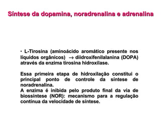 Síntese da dopamina, noradrenalina e adrenalina L-Tirosina (aminoácido aromático presente nos líquidos orgânicos)    diidroxifenilalanina (DOPA) através da enzima tirosina hidroxilase. Essa primeira etapa de hidroxilação constitui o principal ponto de controle da síntese de noradrenalina. A enzima é inibida pelo produto final da via de biossíntese (NOR): mecanismo para a regulação contínua da velocidade de síntese. 