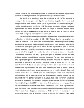 intestino grosso é toda excretada nas fezes. O resultado final é a baixa digestibilidade
do amido no trato digestivo total com grãos inteiros ou pouco processados.
       De acordo com simulação feita por Huntington et al. (2006), aumentar a
passagem de amido para ser digerido no intestino delgado de bovinos será
energeticamente mais eficiente desde que a digestibilidade do amido que chega ao
intestino delgado seja de no mínimo 75%. De acordo com esses autores, valores de
digestibilidade do amido de grãos de milho ou sorgo no intestino delgado dessa
magnitude só são observados quando o consumo de amido é baixo ou quando o animal
é alimentado com grãos ensilados úmidos ou floculados.
       Em bovinos de corte em confinamento, a digestibilidade do milho ensilado úmido
ou floculado no intestino delgado é de 92 a 95% (Tabela 1) conforme compilado por
Owens e Soderlund (2007). Com base na simulação feita por Huntington et al. (2006),
animais alimentados com silagem de milho úmido ou com milho floculado, poderiam se
beneficiar da maior passagem desse amido de alta digestibilidade para o intestino
delgado. Owens e Zinn (2005) simularam os efeitos de aumentar em 20% a passagem
para o intestino delgado de amido de milho laminado a seco ou floculado.
Teoricamente, aumentar em 20% a passagem para o intestino delgado de milho
laminado resultou em redução da eficiência energética. Por outro lado, aumentar em
20% a passagem para o intestino delgado de milho floculado ou ensilado úmido
aumentou o suprimento de energia absorvível para o anima em 2,4 e 4,5%
respectivamente. É óbvio que essa vantagem teórica só se concretiza caso essa
energia extra seja convertida em peso extra de carcaça quente do animal. Ainda é
pouco sabido para onde vai a glicose que desaparece no intestino delgado do animal,
ou seja, se ela é ou não utilizada para fins produtivos pelo animal. Tem intrigado os
nutricionistas o fato de parte da glicose que desaparece do intestino delgado não ser
recuperada na veia porta (Huntington et al, 2006). Isto pode ocorrer em virtude de
fermentação microbiana de glicose no intestino delgado, uso de glicose pelos tecidos
viscerais (Huntington et al, 2006) ou conversão direta ou indireta da energia da glicose
em gordura omental. De acordo com Owens e Soderlund (2007), caso a glicose extra,
absorvida com a maior passagem de amido de alta digestibilidade para o intestino seja
utilizada para síntese de gordura omental, a qual não contribui para aumento do peso
de carcaça quente, pois é removida durante a limpeza no frigorífico, não haverá
 