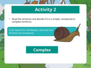 Activity 2
• Read the sentence and decide if it is a simple, compound or
complex sentence.
I can search for minibeasts, now that I’ve
finished my homework.
Complex
 