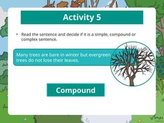 Activity 5
• Read the sentence and decide if it is a simple, compound or
complex sentence.
Many trees are bare in winter but evergreen
trees do not lose their leaves.
Compound
 