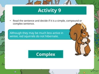 Activity 9
• Read the sentence and decide if it is a simple, compound or
complex sentence.
Although they may be much less active in
winter, red squirrels do not hibernate.
Complex
 