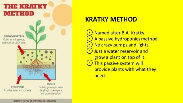 Simple Homemade Hydroponics