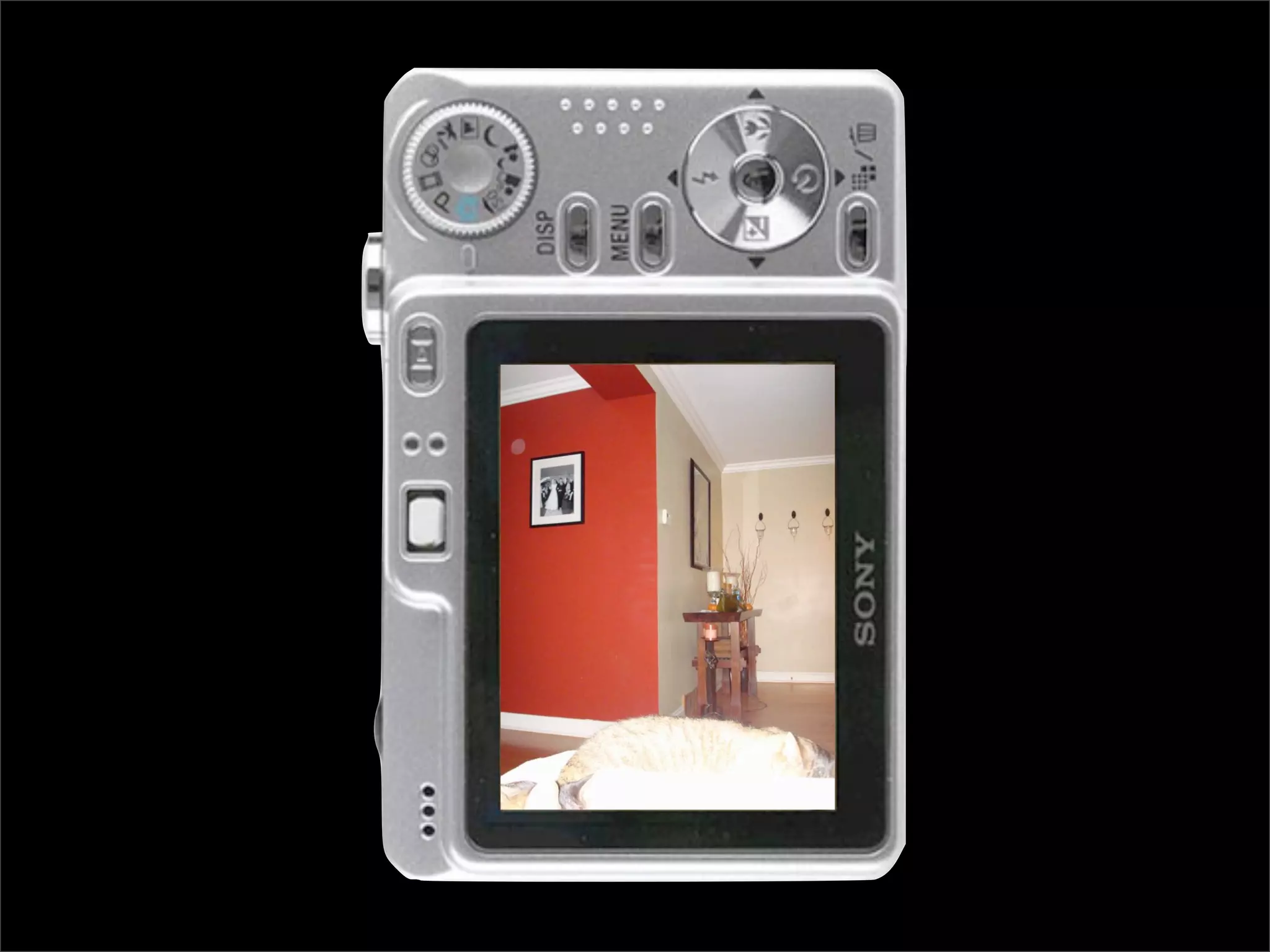 Simple Photo Processing and Web Display with Perl