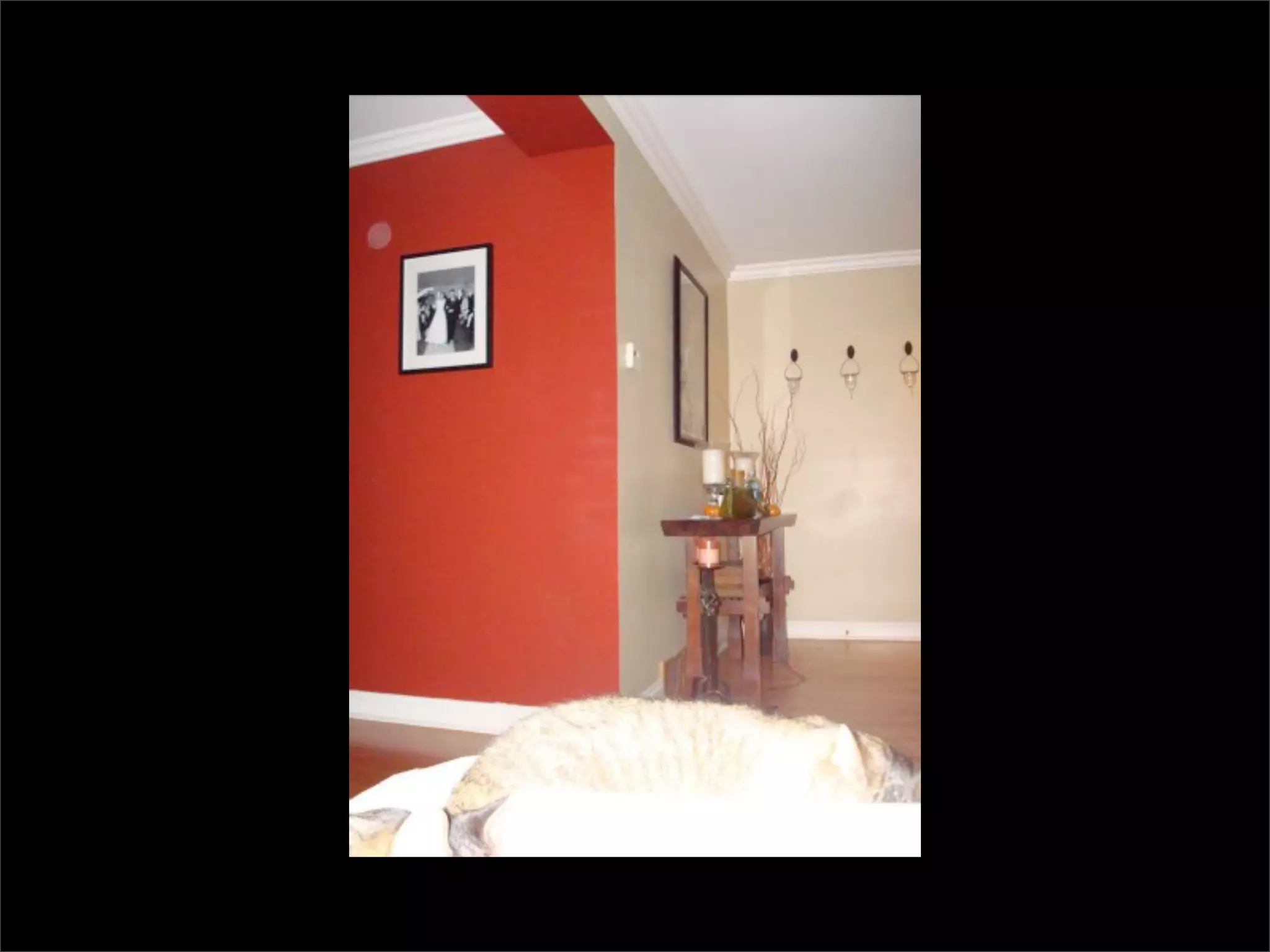 Simple Photo Processing and Web Display with Perl