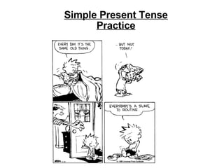 Simple Present Tense Practice 