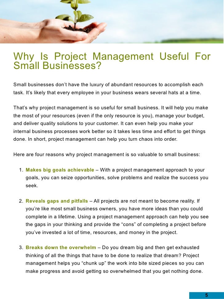 Small business project management