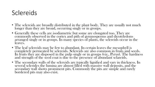 Sclereids
• The sclereids are broadly distributed in the plant body. They are usually not much
longer than they are broad, occurring singly or in groups.
• Generally these cells are isodiametric but some are elongated too. They are
commonly observed in the cortex and pith of gymnosperms and dicotyledons
arranged singly or in groups. In many species of plants, the sclereids occur in the
leaves.
• The leaf sclereids may be few to abundant. In certain leaves the mesophyll is
completely permeated by sclereids. Sclereids are also common in fruits and seeds.
In fruits they are disposed in the pulp singly or in groups (viz., Pyrus). The hardness
and strength of the seed coat is due to the presence of abundant sclareids.
• The secondary walls of the sclereids are typically lignified and vary in thickness. In
several sclerides the lumina are almost filled with massive wall deposits, and the
secondary wall shows prominent pits. Commonly the pits are simple and rarely
bordered pits may also exist.
 