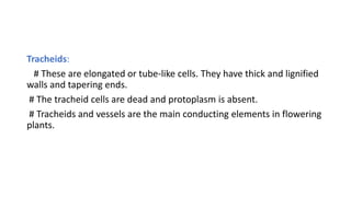 Tracheids:
# These are elongated or tube-like cells. They have thick and lignified
walls and tapering ends.
# The tracheid cells are dead and protoplasm is absent.
# Tracheids and vessels are the main conducting elements in flowering
plants.
 