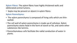 Xylem Fibres: The xylem fibres have highly thickened walls and
obliterated central lumens.
• Septa may be present or absent in xylem fibres.
Xylem Parenchyma:
• The xylem parenchyma is composed of living cells which are thin-
walled.
• The cell wall of xylem parenchyma is made up of cellulose. Xylem
parenchyma stores food in the form of starch or fat, and some other
substances like tannins.
• Parenchymatous cells facilitate the radial conduction of water in
plants.
 