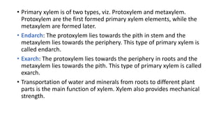 • Primary xylem is of two types, viz. Protoxylem and metaxylem.
Protoxylem are the first formed primary xylem elements, while the
metaxylem are formed later.
• Endarch: The protoxylem lies towards the pith in stem and the
metaxylem lies towards the periphery. This type of primary xylem is
called endarch.
• Exarch: The protoxylem lies towards the periphery in roots and the
metaxylem lies towards the pith. This type of primary xylem is called
exarch.
• Transportation of water and minerals from roots to different plant
parts is the main function of xylem. Xylem also provides mechanical
strength.
 