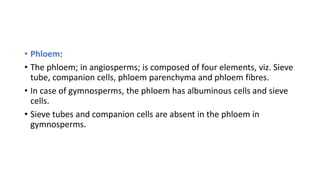 • Phloem:
• The phloem; in angiosperms; is composed of four elements, viz. Sieve
tube, companion cells, phloem parenchyma and phloem fibres.
• In case of gymnosperms, the phloem has albuminous cells and sieve
cells.
• Sieve tubes and companion cells are absent in the phloem in
gymnosperms.
 
