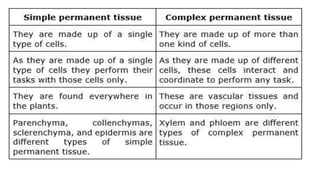 Simple and complex tissue (permanent tissue)
