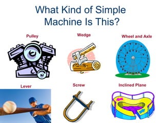 What Kind of Simple
Machine Is This?
Pulley

Lever

Wedge

Screw

Wheel and Axle

Inclined Plane

 