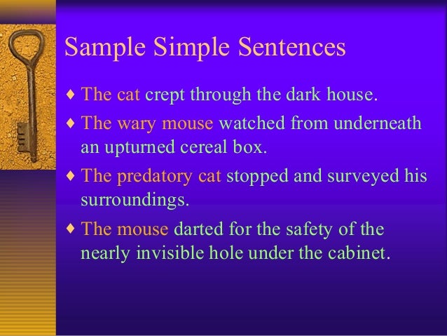 Sentence Types 2