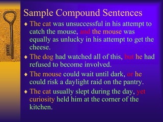 Sample Compound Sentences
 The cat was unsuccessful in his attempt to
 catch the mouse, and the mouse was
 equally as unlucky in his attempt to get the
 cheese.
 The dog had watched all of this, but he had
 refused to become involved.
 The mouse could wait until dark, or he
 could risk a daylight raid on the pantry.
 The cat usually slept during the day, yet
 curiosity held him at the corner of the
 kitchen.
 