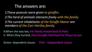 1.These peanuts were given to giraffes.
2.The herd of animals interacts freely with the family.
3.The current inhabitants of the Giraffe Manor are
members of the Carr-Hartley family.
The answers are:
4.When she was ten, her family moved back to Paris.
5. When they hunted, they brought food back for Shaun to eat.
Green- dependent clause Pink – Independent clause
 