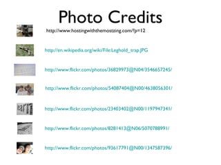 http://www.flickr.com/photos/93617791@N00/1347587396/
http://www.flickr.com/photos/8281413@N06/5070788991/
http://www.flickr.com/photos/23403402@N00/1197947341/
http://www.flickr.com/photos/54087404@N00/4638056301/
http://en.wikipedia.org/wiki/File:Leghold_trap.JPG
http://www.hostingwiththemostzing.com/?p=12
http://www.flickr.com/photos/36829973@N04/3546657245/
Photo Credits
 