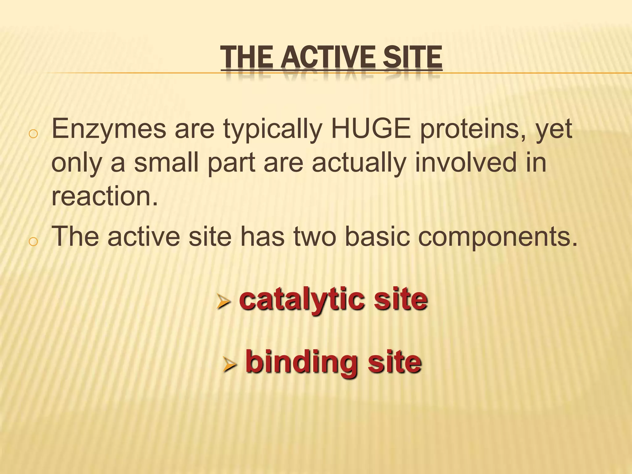 THE ACTIVE SITE
o Enzymes are typically HUGE proteins, yet
only a small part are actually involved in
reaction.
o The active site has two basic components.
 catalytic site
 binding site
 