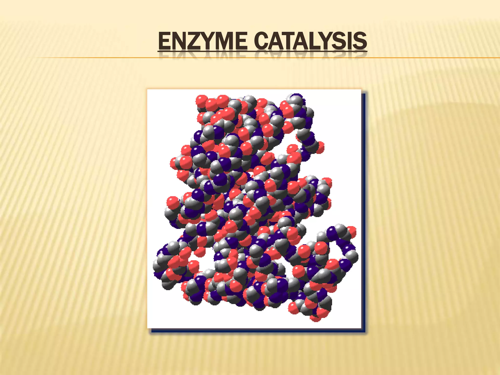 ENZYME CATALYSIS
 