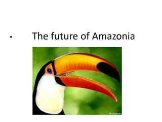 The future ofAmazonia