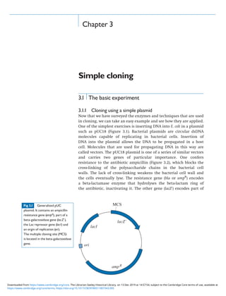 Chapter 3
Simple cloning
3.1 The basic experiment
3.1.1 Cloning using a simple plasmid
Now that we have surveyed the enzymes and techniques that are used
in cloning, we can take an easy example and see how they are applied.
One of the simplest exercises is inserting DNA into E. coli in a plasmid
such as pUC18 (Figure 3.1). Bacterial plasmids are circular dsDNA
molecules capable of replicating in bacterial cells. Insertion of
DNA into the plasmid allows the DNA to be propagated in a host
cell. Molecules that are used for propagating DNA in this way are
called vectors. The pUC18 plasmid is one of a series of similar vectors
and carries two genes of particular importance. One confers
resistance to the antibiotic ampicillin (Figure 3.2), which blocks the
cross-linking of the polysaccharide chains in the bacterial cell
walls. The lack of cross-linking weakens the bacterial cell wall and
the cells eventually lyse. The resistance gene (bla or ampR
) encodes
a beta-lactamase enzyme that hydrolyses the beta-lactam ring of
the antibiotic, inactivating it. The other gene (lacZ’) encodes part of
Fig 3.1 Generalized pUC
plasmid. It contains an ampicillin
resistance gene (ampR), part of a
beta-galactosidase gene (lacZ’),
the Lac repressor gene (lacI) and
an orgin of replication (ori).
The multiple cloning site (MCS)
is located in the beta-galactosidase
gene.
https://www.cambridge.org/core/terms. https://doi.org/10.1017/CBO9780511807343.005
Downloaded from https://www.cambridge.org/core. The Librarian-Seeley Historical Library, on 13 Dec 2019 at 14:57:54, subject to the Cambridge Core terms of use, available at
 