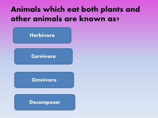 Animals which eat both plants and
other animals are known as?
Herbivore
Carnivore
Omnivore
Decomposer
 