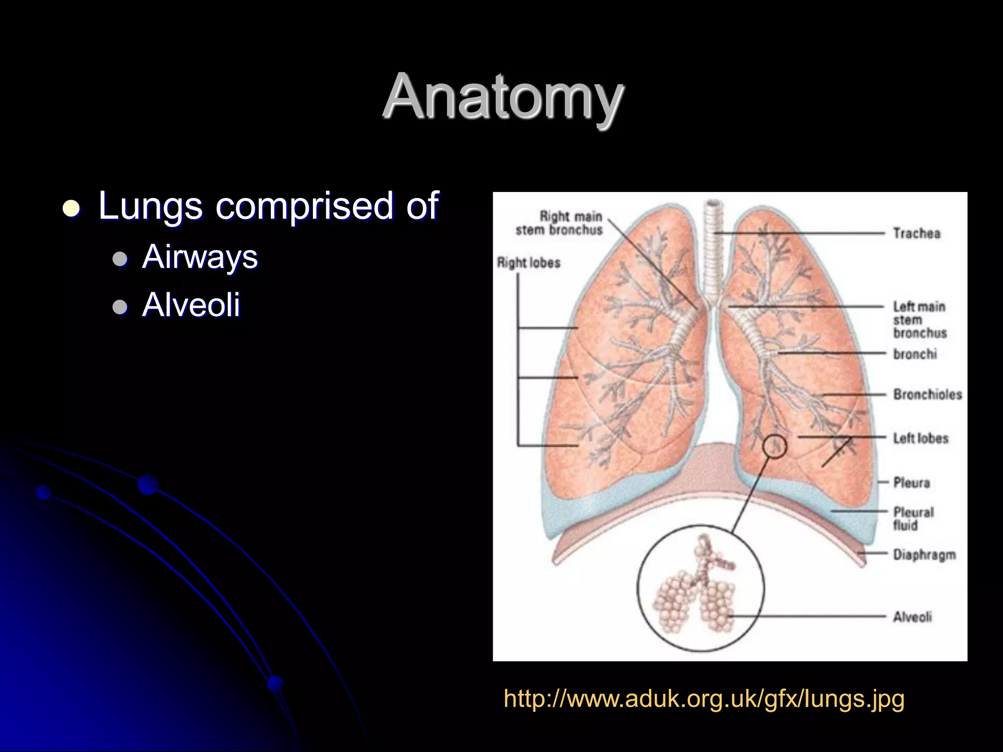Anatomy


Lungs comprised of




Airways
Alveoli

http://www.aduk.org.uk/gfx/lungs.jpg

 
