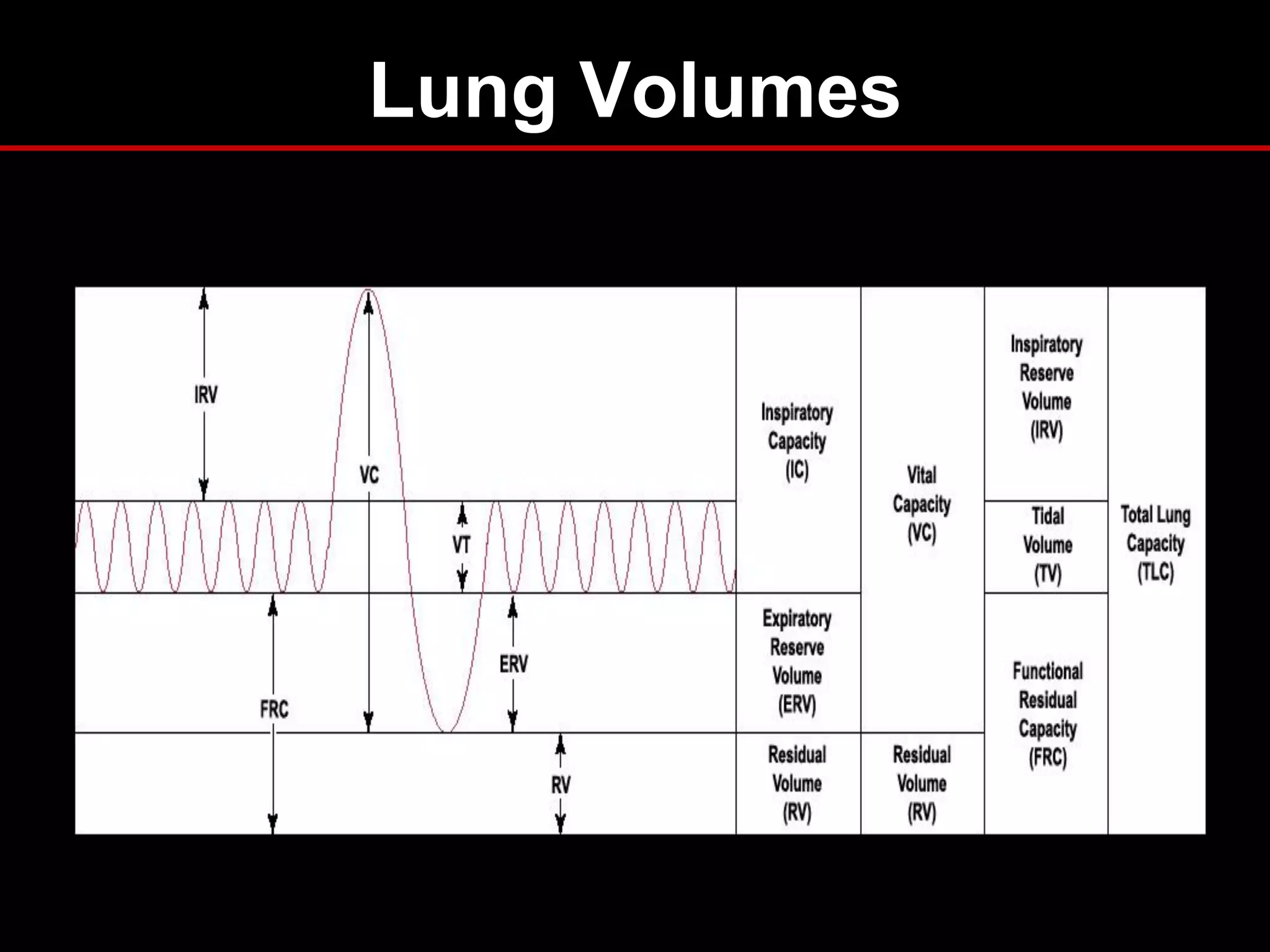 Lung Volumes

 