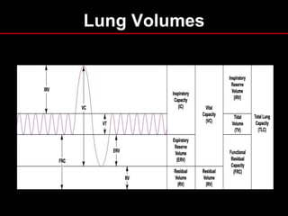 Lung Volumes

 