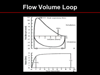 Flow Volume Loop

 