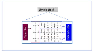 Simple Lipid
 