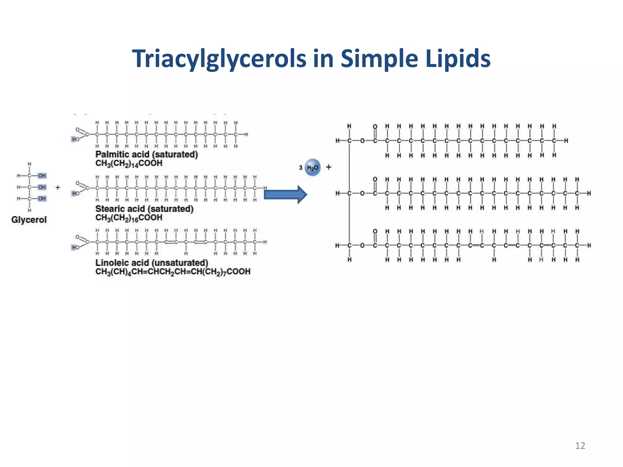 Triacylglycerols in Simple Lipids
12
 