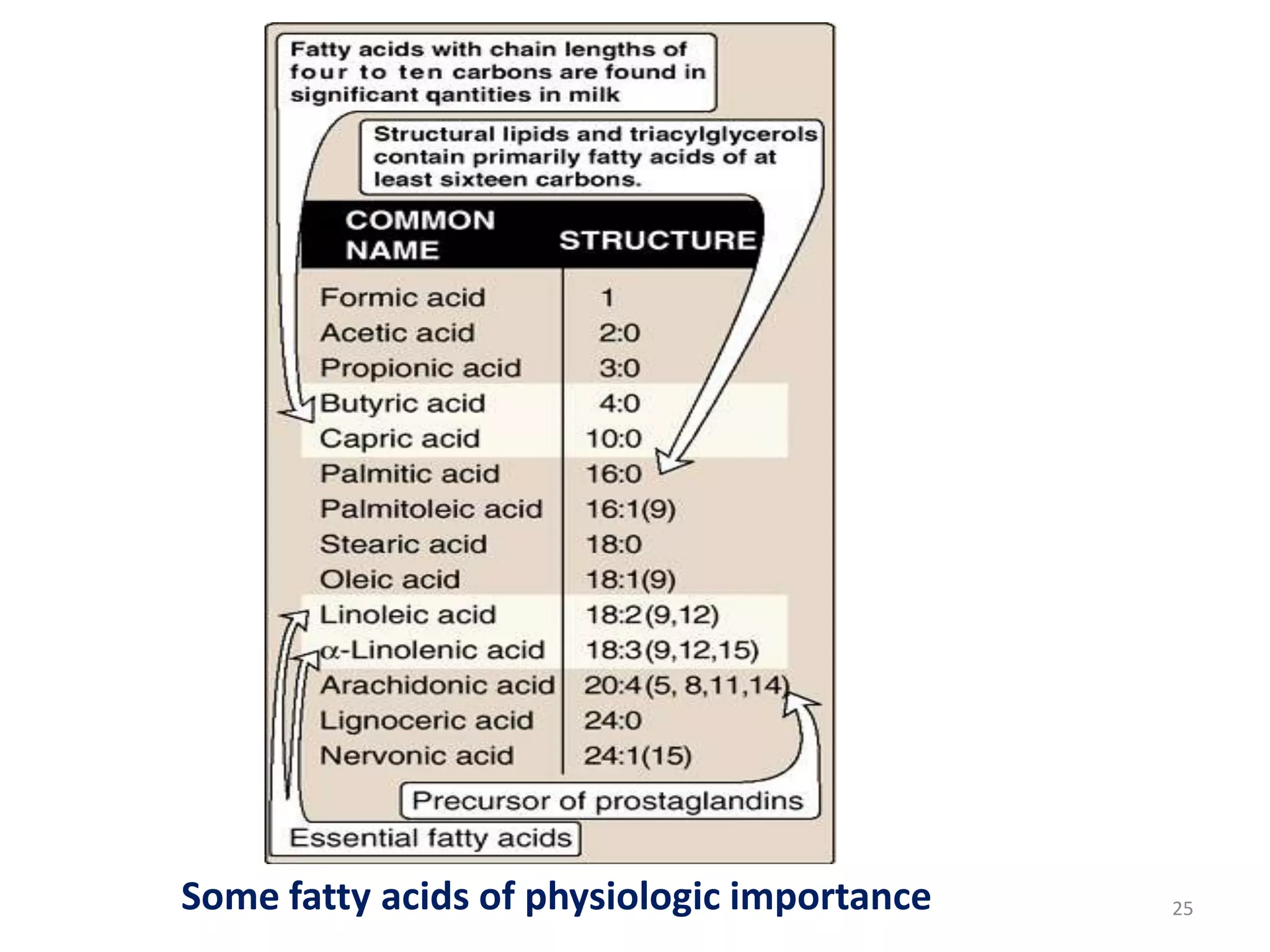 Some fatty acids of physiologic importance 25
 