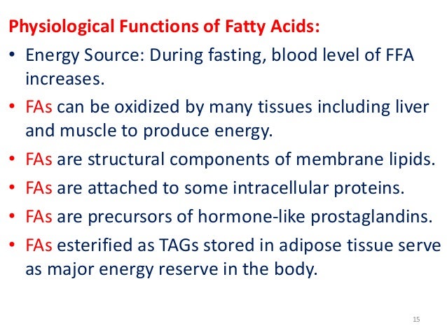 function of fatty acids