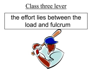 Class three lever
the effort lies between the
     load and fulcrum
 