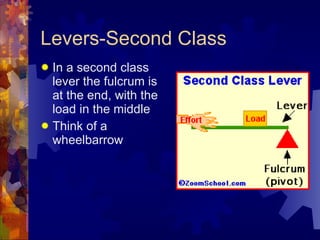 Levers-Second Class In a second class lever the fulcrum is at the end, with the load in the middle Think of a wheelbarrow