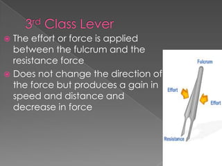 3rd Class LeverThe effort or force is applied between the fulcrum and the resistance forceDoes not change the direction of the force but produces a gain in speed and distance and decrease in force 