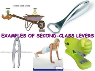 EXAMPLES OF SECOND-CLASS LEVERS

 
