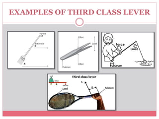 Simple machines by Saliha Rais, for grade 5. | PPTX