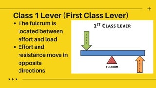 The fulcrum is
located between
effort and load
Effort and
resistance move in
opposite
directions
Class 1 Lever (First Class Lever)
 